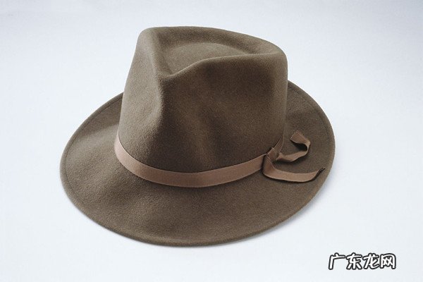 软塌的帽子怎么撑起来 软塌的帽子撑起来的方法