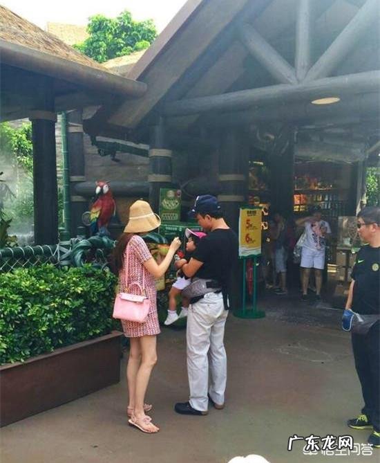 剖腹产横剖第三胎是种什么感觉?