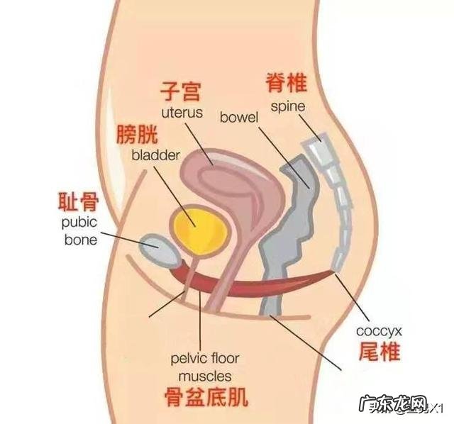 女人在生完孩子后还能瘦回去吗?怎样可以减掉大肚腩?
