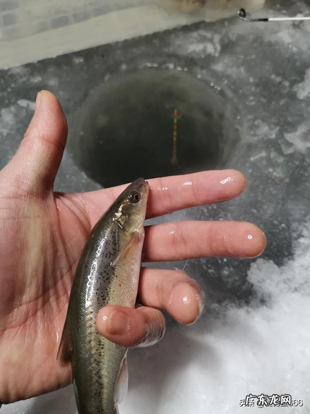 冰层多厚，才能上去冰钓，有经验的回答下，谢谢