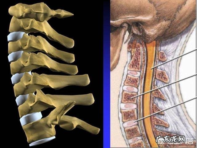 秋天凉，颈椎病就容易犯，该怎么预防