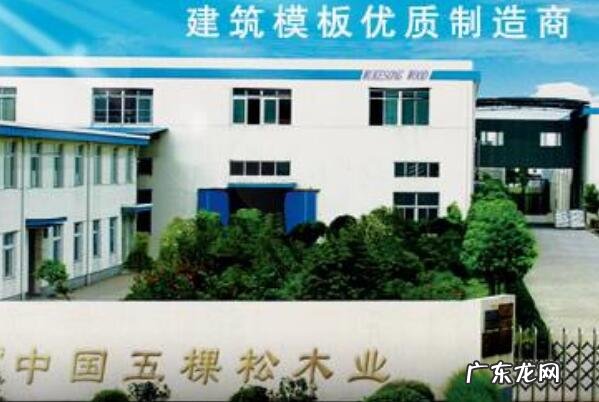 中国建筑模板十大名牌排名 中国建筑模板十大名牌