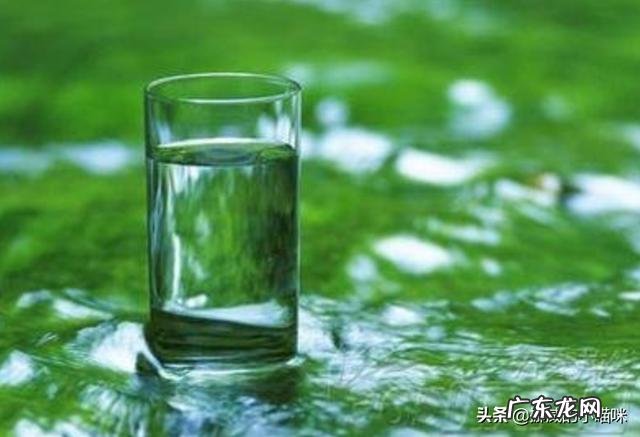 狗狗总是尿频，该怎么办？