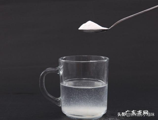 狗狗总是尿频，该怎么办？