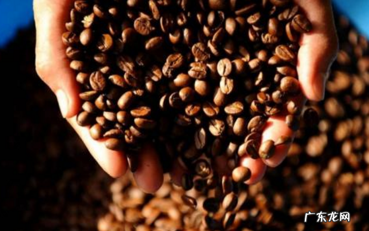 十大咖啡品牌排行 世界十大咖啡排名