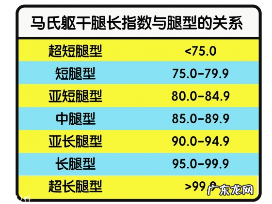 什么样的腿算长 你知道怎样是真正的腿精