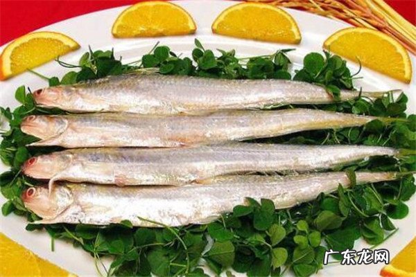 世界最贵的食用鱼十大排名 世界十大顶级食用鱼