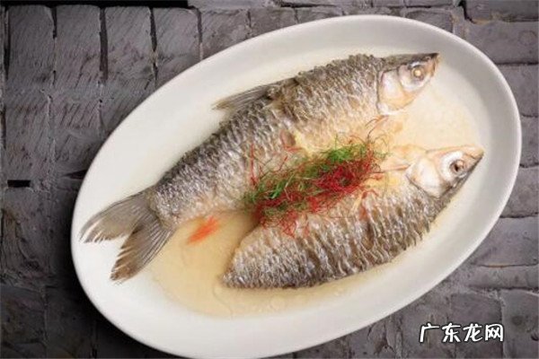 世界最贵的食用鱼十大排名 世界十大顶级食用鱼