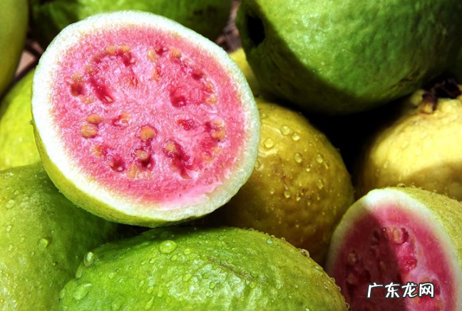 十大低糖水果排行榜糖尿病人能吃西红柿吗 十大低糖水果排行榜