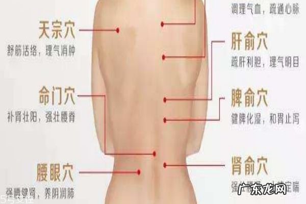 背厚怎么减 告别虎背熊腰