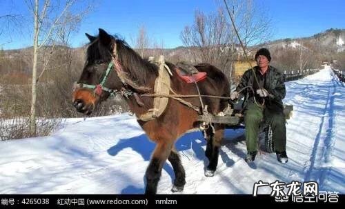 哈尔滨人的生活习惯是怎么样的