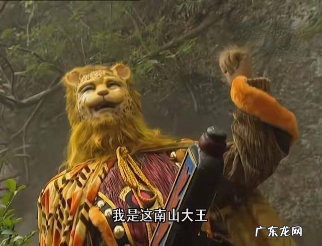 一男子剪金钱豹发型 浙江一男子剪金钱豹发型