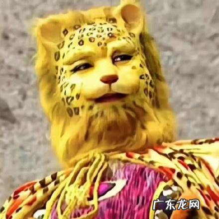 一男子剪金钱豹发型 浙江一男子剪金钱豹发型