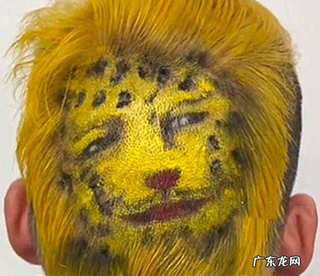 一男子剪金钱豹发型 浙江一男子剪金钱豹发型