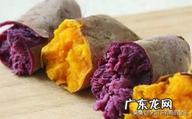 紫薯和红薯到底哪个热量高？