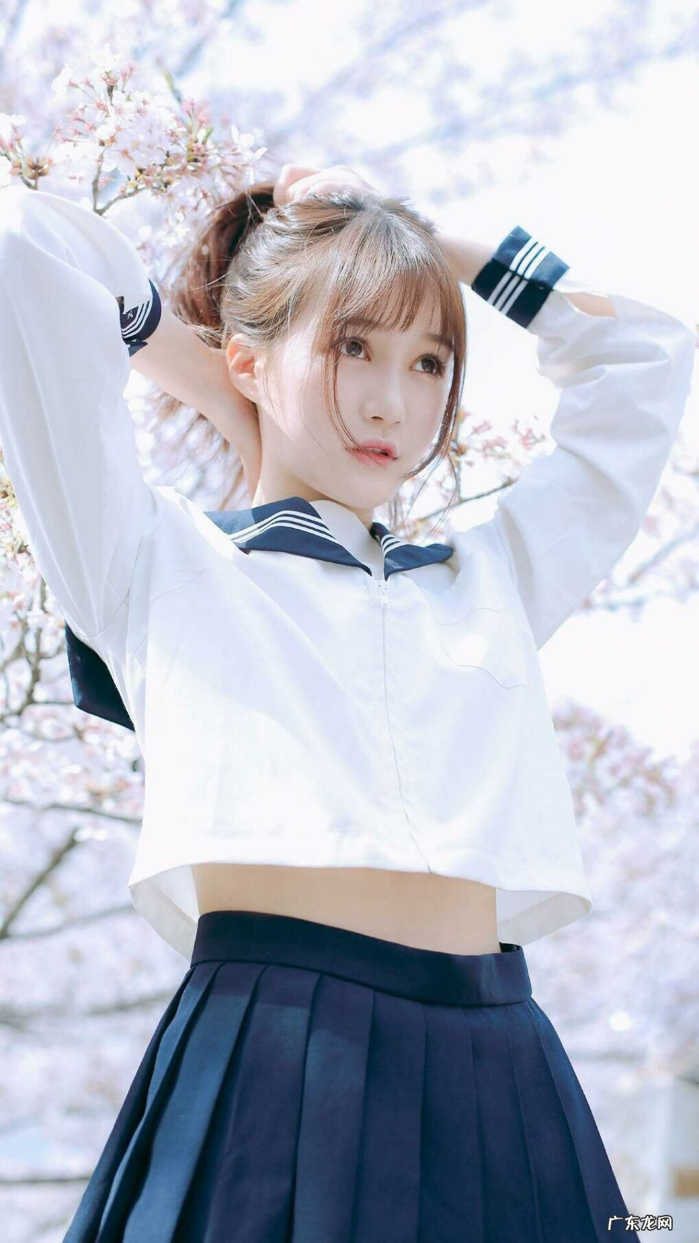 泰迪狗狗什么时候长了最快