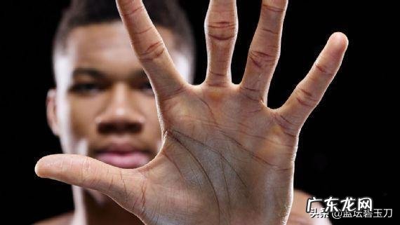 字母哥和锡安论天赋变态ji别谁更胜一筹？