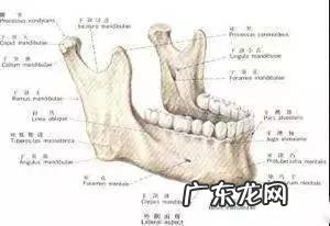 女孩子骨架大是种什么样的感受,如何判断自己是不是大骨架?