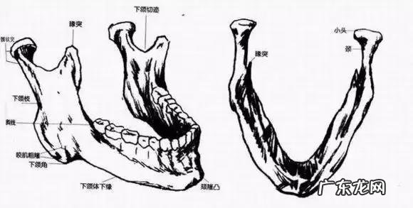 女孩子骨架大是种什么样的感受,如何判断自己是不是大骨架?