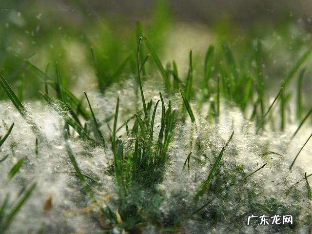 秋冬天干物燥,怎样让身体皮肤保持嫩滑?