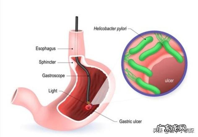 韩国青年夫妇不想生娃养娃，我们身边是不是这样？