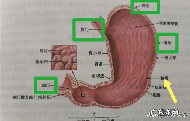 韩国青年夫妇不想生娃养娃，我们身边是不是这样？