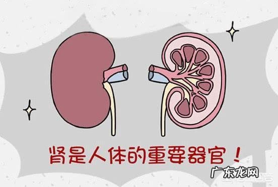 哪些不良生活习惯容易引起肝病呢