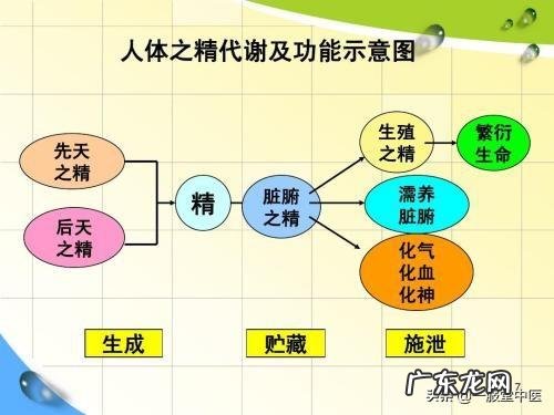 中医讲气血，那么到底什么是气呢