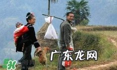 端午出嫁女儿能回娘家吗?端阳节能在娘家过吗?