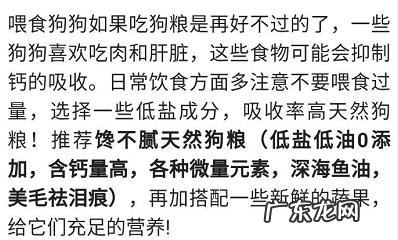 狗狗毛发不好吃什么食物好?