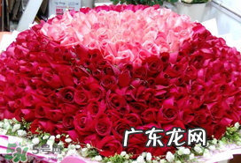 2017年520送什么花好?适合520送给女朋友的花推荐