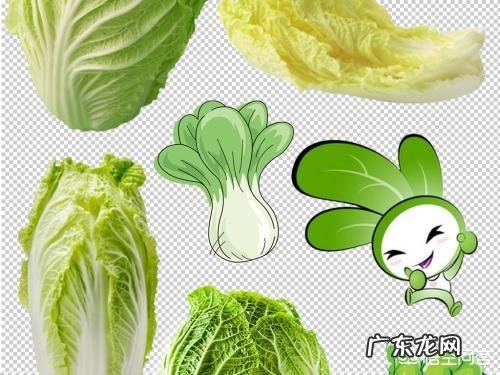 凉皮不放辣只有调味汁配料放面筋黄瓜胡萝卜热量会高吗？