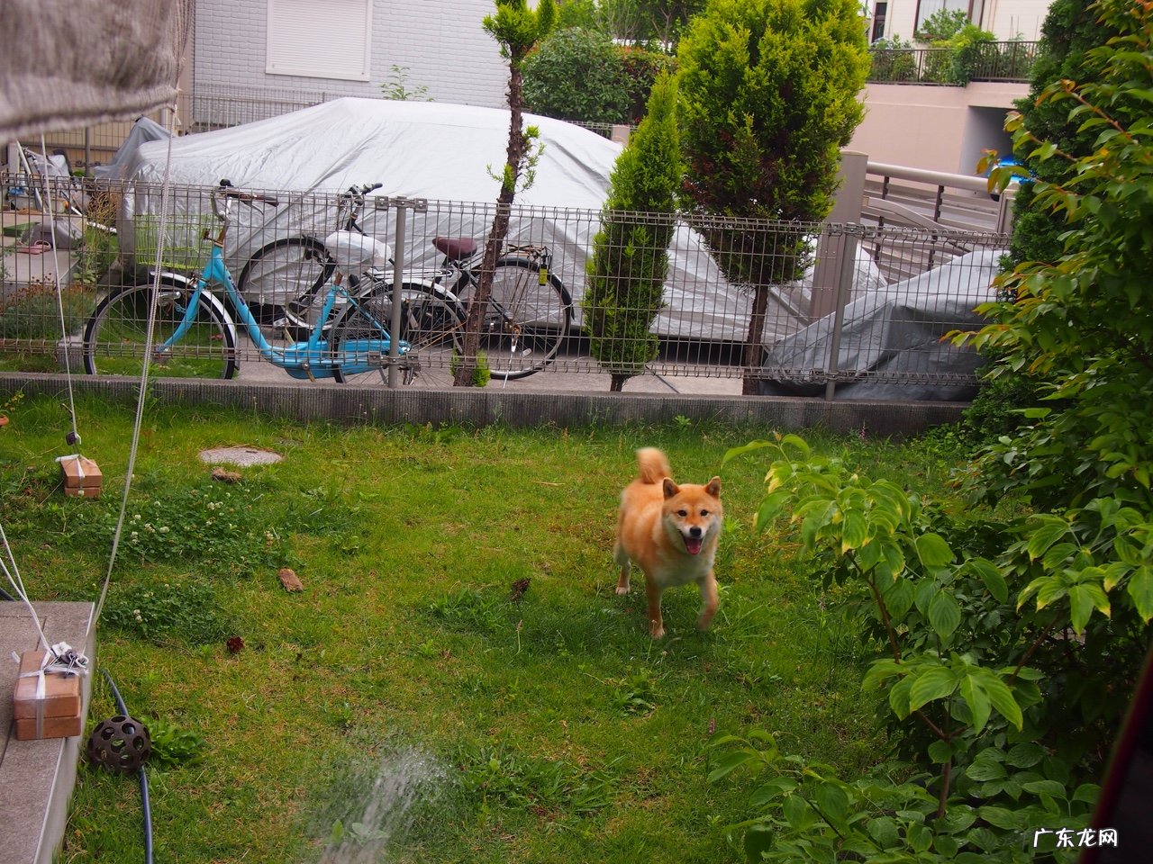 晚上喝一杯高蛋白的脱脂牛奶会长胖吗