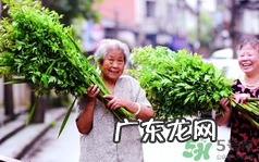 端午节前后出没的毒虫有哪些？端午节前后如何预防毒虫？