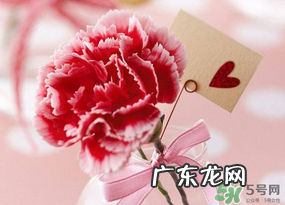 康乃馨可以放卧室吗?康乃馨能放在卧室吗?