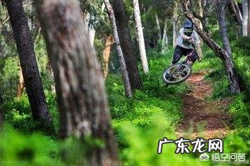 捷安特自行车和闪电自行车哪个好?