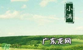 2017小满是几月几日？小满节气养生