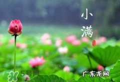 2017小满是几月几日？小满节气养生