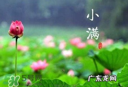 2017小满是几月几日？小满节气养生
