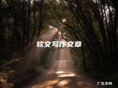 软文写作文章
