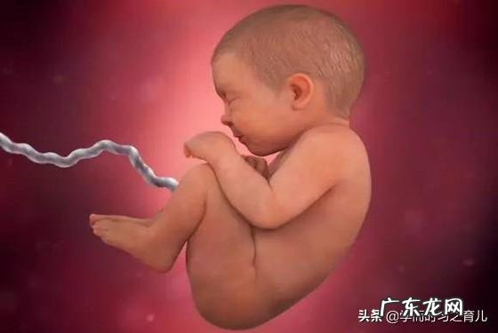 胎儿偏大和不爱运动有关吗?