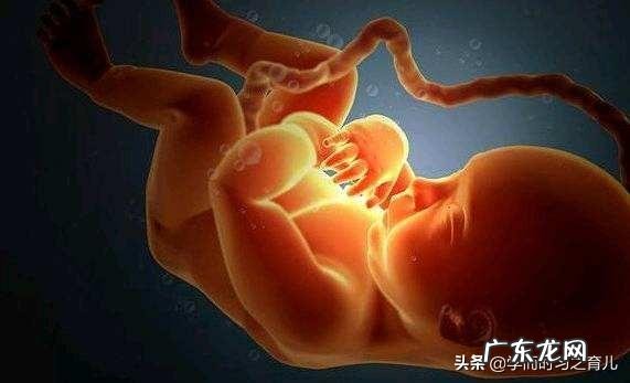 胎儿偏大和不爱运动有关吗?