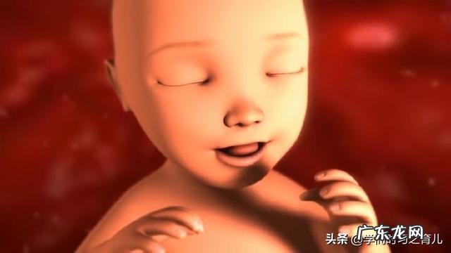 胎儿偏大和不爱运动有关吗?