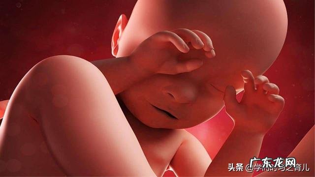 胎儿偏大和不爱运动有关吗?