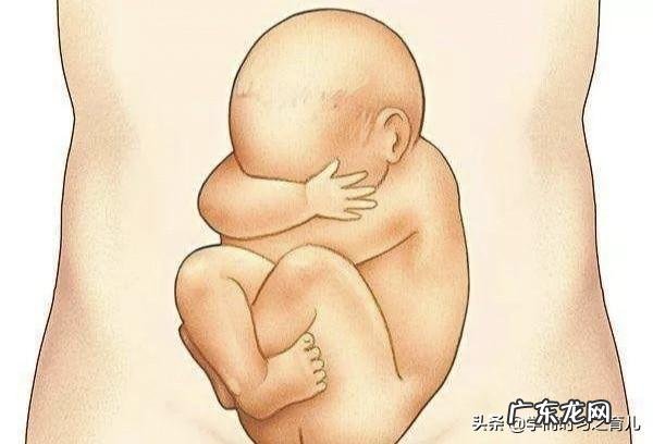 胎儿偏大和不爱运动有关吗?