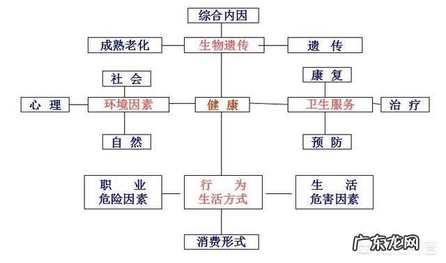 有哪些长期不良习惯会伤害肠道健康？