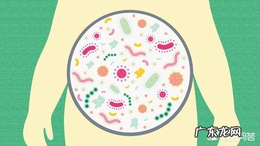 有哪些长期不良习惯会伤害肠道健康？