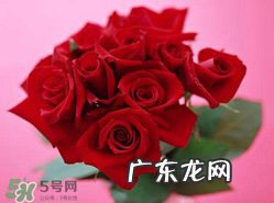 玫瑰花多少钱一朵2017?玫瑰花多少钱一束2017?