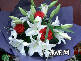 百合花多少钱一支2017?百合花多少钱一束2017?