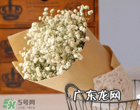 母亲节可以送满天星吗？母亲节能送满天星吗？